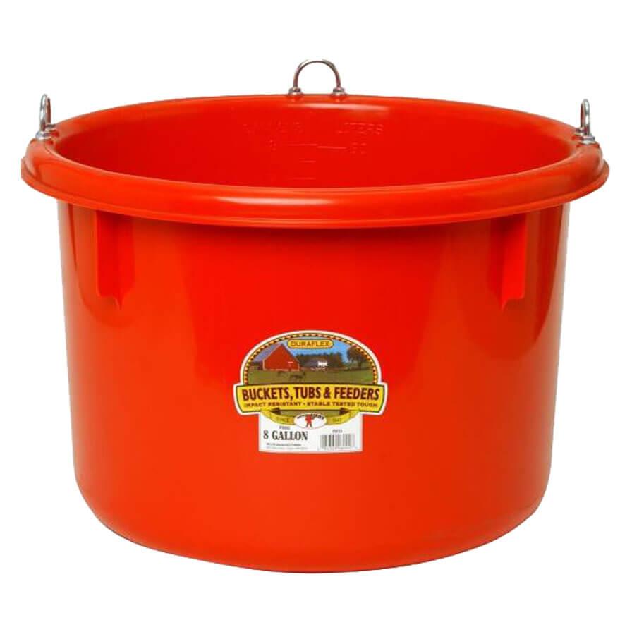 Little Giant Plastic Feeder 8 Gallon