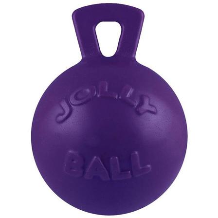Tug-N-Toss Ball Dog Toy - 8 Inch
