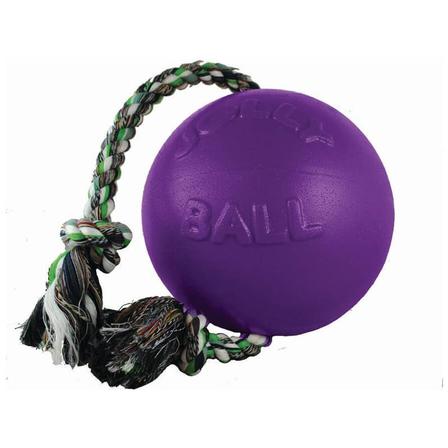 Romp-N-Roll Ball Dog Toy - 6 Inch