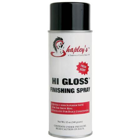 Hi Gloss Finishing Spray - 12 Oz