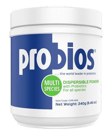 Probios Dispersible Powder - 240G