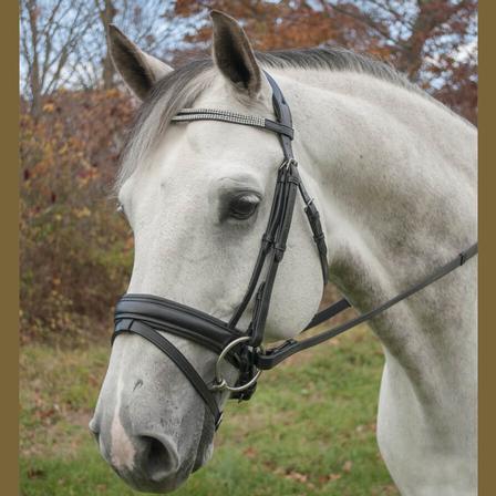 Red Barn Passage Bridle with Flash & Crank
