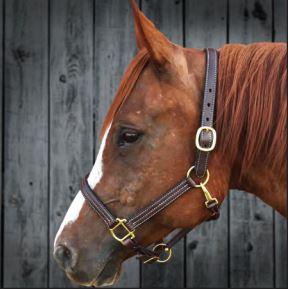 Triple Stitched Track Halter with Adjustable Nose