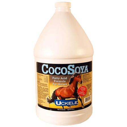 CocoSoya Oil - Gallon