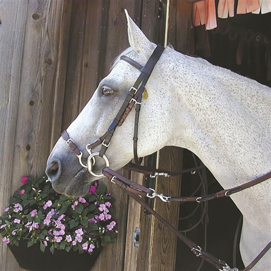 Nunn Finer ® Kineton Noseband