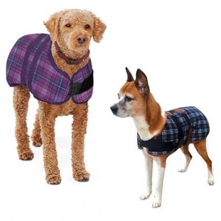 CentaurĀ® Dog Blanket