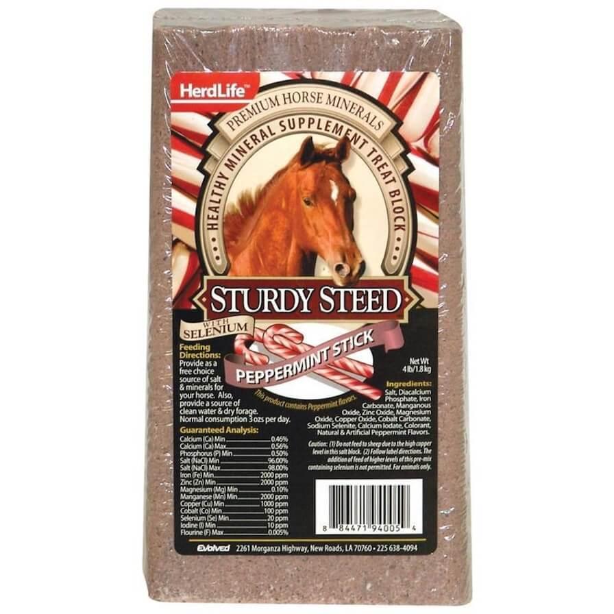 Sturdy Steed Horse Salt Block - Peppermint
