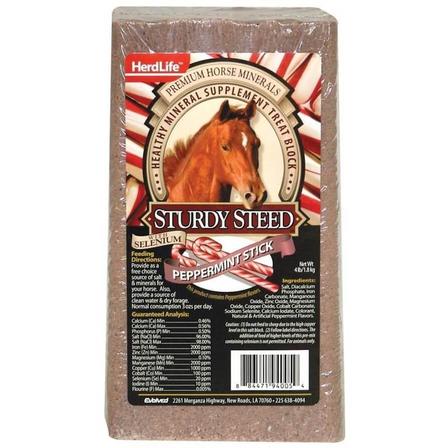 Sturdy Steed Horse Salt Block - Peppermint