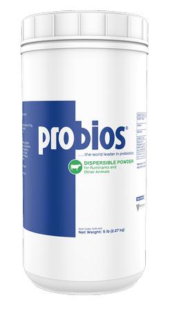 Probios Despersible Powder - 5 Lbs