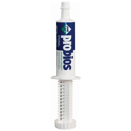 Probios Equine Oral Gel - Single 30 G