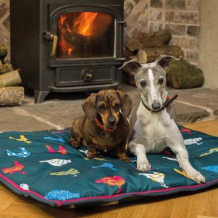 Digby & Fox Waterproof Dog Bed - Small CHICKEN