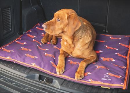 Digby & Fox Waterproof Dog Bed - Small