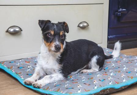 Digby & Fox Waterproof Dog Bed - Small DOG