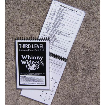 Whinny Widgets Third Level Dressage Test Book - 2019
