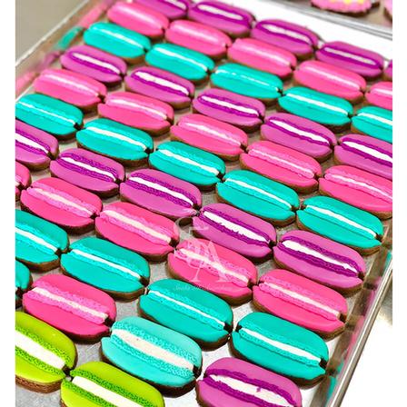 Snakaroons Horse Snaks