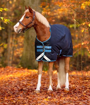 Amigo® Bravo 12 Original Pony - 200g NAVY/TURQ/AQUA/BLUE