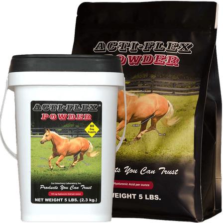 Acti-Flex Powder - 5 Lbs