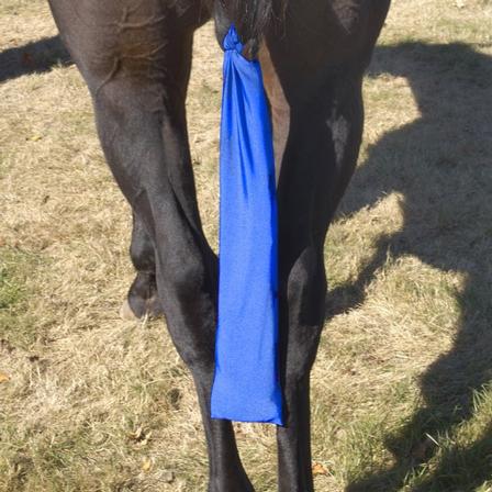 Centaur® Stretch Tail Bag ROYAL_BLUE