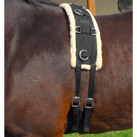 Surcingle with Fleece Padding Horse