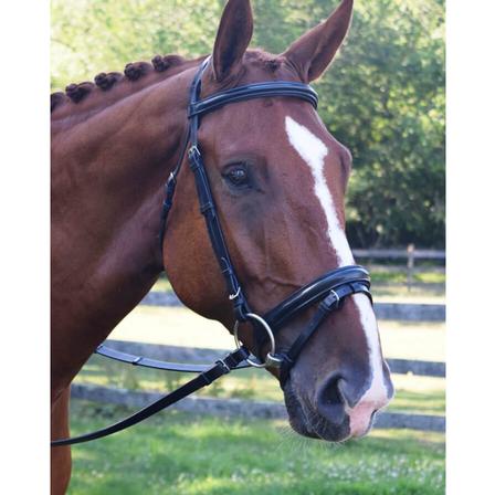 Juniper Dressage Bridle with Reins