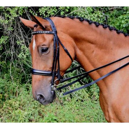Red Barn Cadence Weymouth Bridle