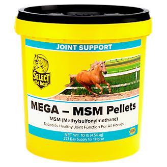 Mega MSM™ Pellets - 10 Lbs