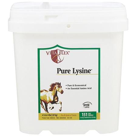 Pure Lysine Essential Amino Acid Supplement - 4 Lbs
