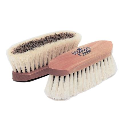 Union Center Tampico Border Champion Dandy Brush