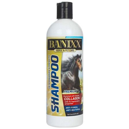 Banixx Shampoo with Collagen - 16 Oz