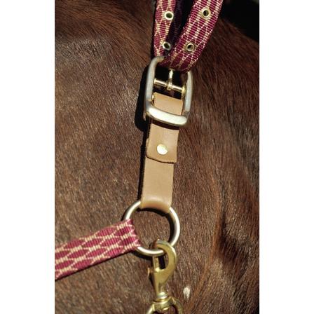 Centaur® Leather Breakaway Fuse