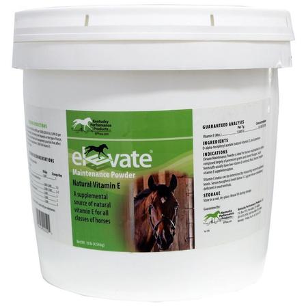Elevate® Maintenance Powder - 10 Lbs
