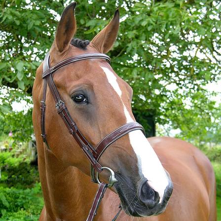 Wide Nose Hunter Bridle