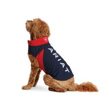 Team Softshell Dog Jacket