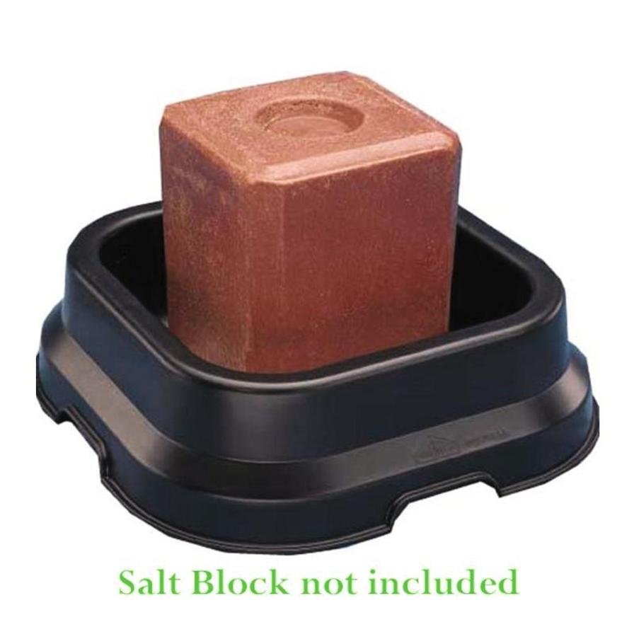  Salt Block Pan