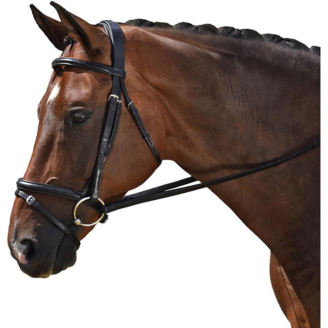 Mtl Classic Dressage Bridle