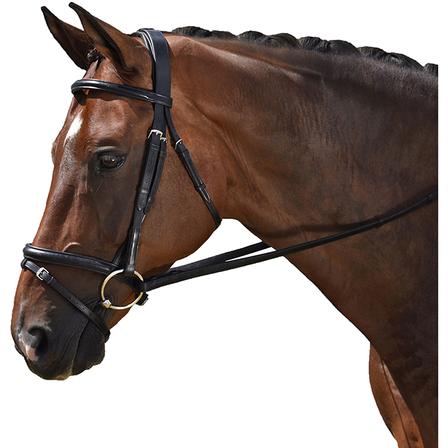 MTL CLASSIC Dressage Bridle