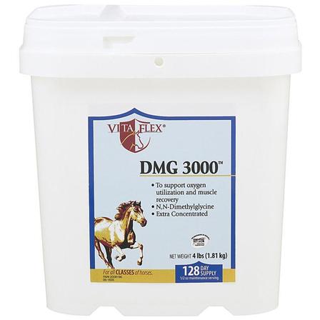 DMG 3000 - 4 Lbs
