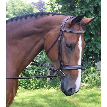 Laurel Hunter Bridle