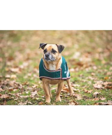 Digby & Fox Waterproof Dog Coat FOREST