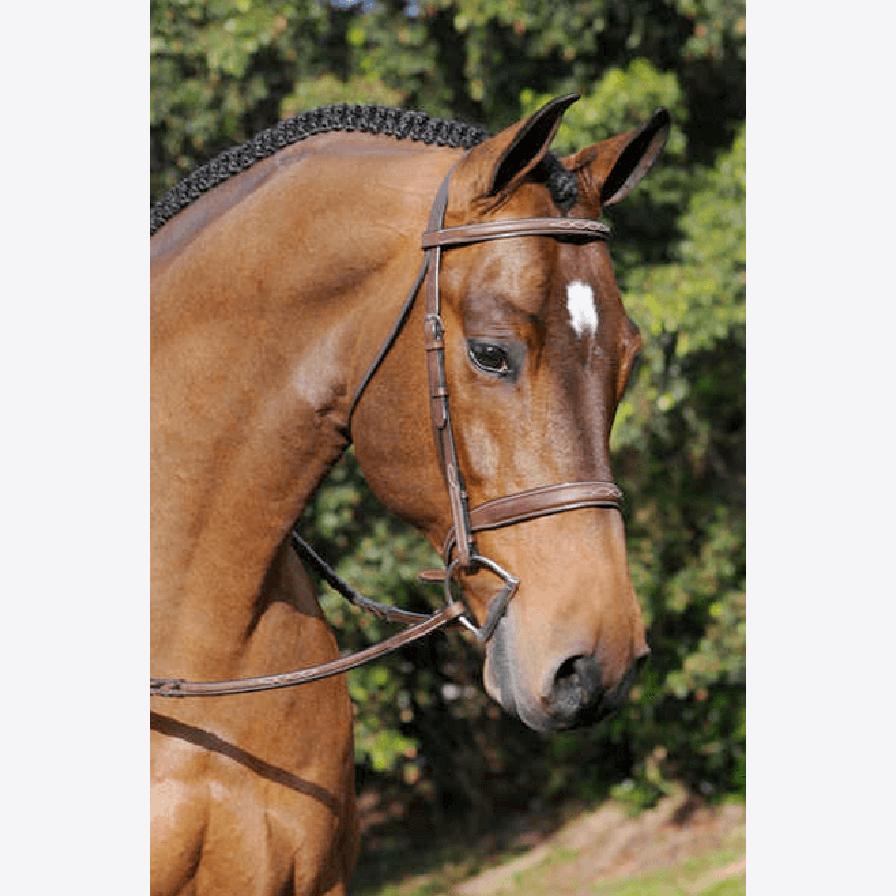  Tribute Bridle With Raised Fancy Laced Reins