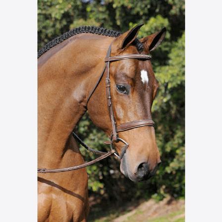 Tribute Bridle with Raised Fancy Laced Reins