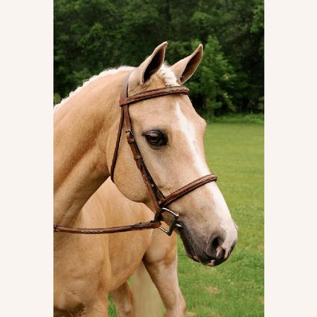 Imperial Bridle with Raised Fancy Laced Reins