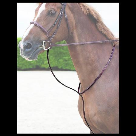 Hunter Standing Martingale