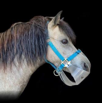 Flexible Filly Slow Feed Grazing Muzzle