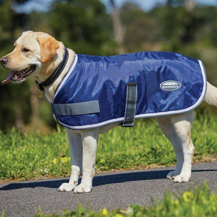 Comfitec Windbreaker 420d Dog Coat