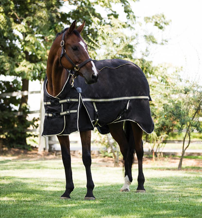 Guardsman ™ 4- In- 1 Blanket