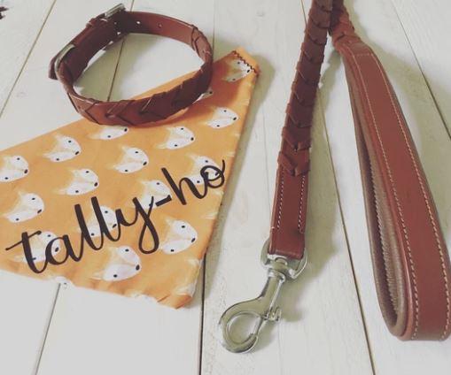 Tally- Ho Bandana