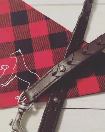 The Hickstead Collection: Laced Dog Lead