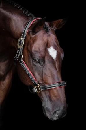 The Derby Collection: Fancy Stitch Halter