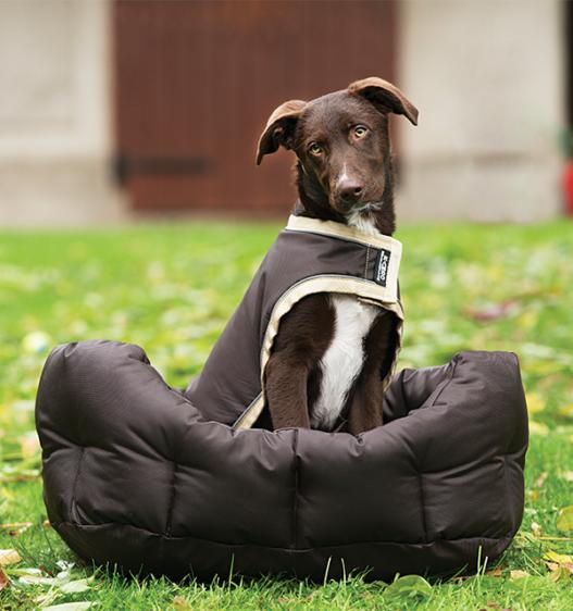 Rambo® Dog Bed